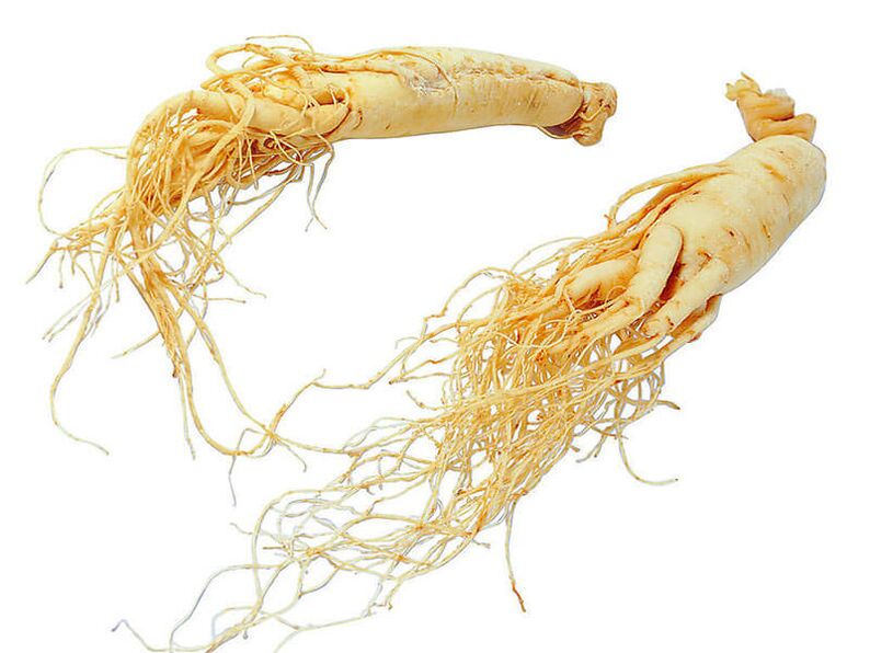 fréimhe ginseng le haghaidh potency